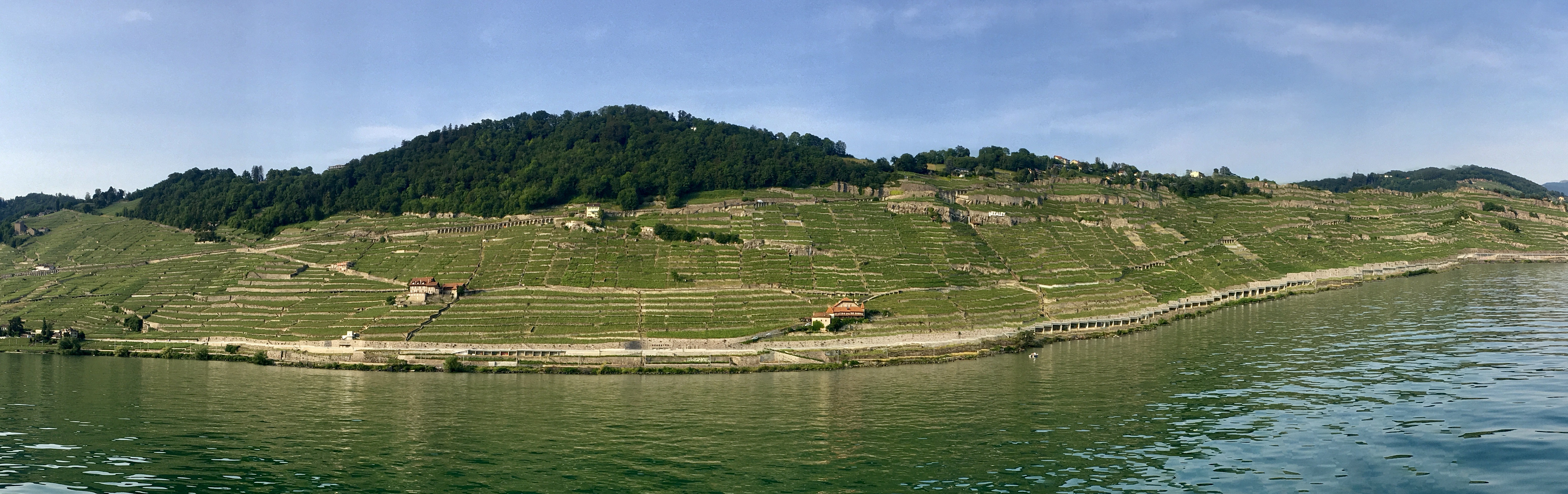 Lavaux vu du lac Lavaux vu du lac